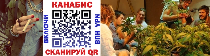 NBOMe Бологое