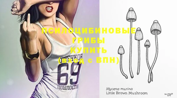 спиды Арсеньев