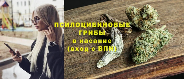 шишки Нефтекумск