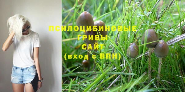 спиды Арсеньев