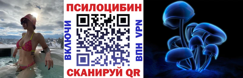 Псилоцибиновые грибы Magic Shrooms  купить наркотик  Бологое 